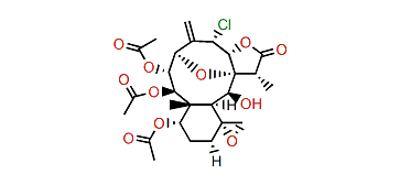 Gemmacolide AX